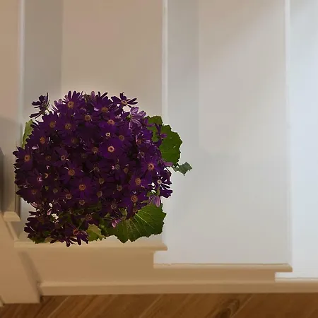 Relais Al Museo Гостевой дом